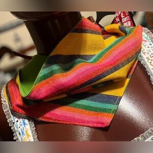 Colorful Striped Bandana